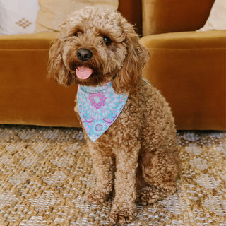 lovers-beach-dog-bandana-medium