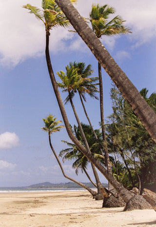 2000